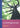 Boek-Ontwikkelingsgerontologie-tweedehands