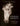 Boek-Paarden genezen-tweedehands