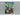Boek-Pokemon X and Pokemon Y-tweedehands