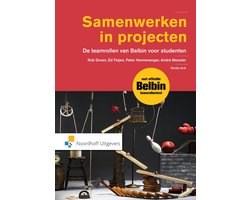 Boek-Samenwerken in projecten-tweedehands