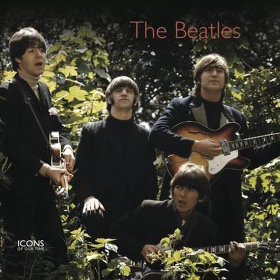 Boek-The Beatles-tweedehands