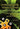Boek-Understanding Video Games-tweedehands