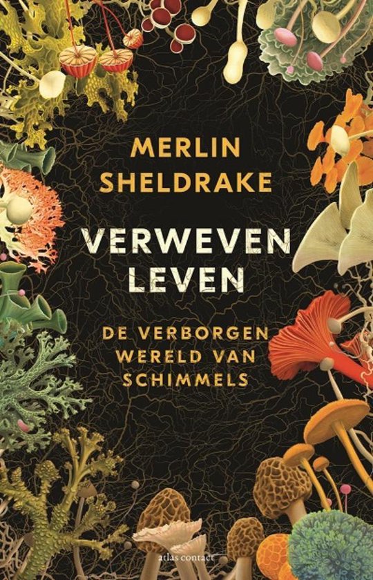 Boek-Verweven leven-tweedehands