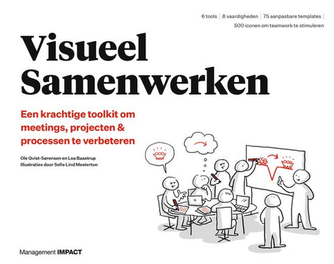 Boek-Visueel Samenwerken-tweedehands