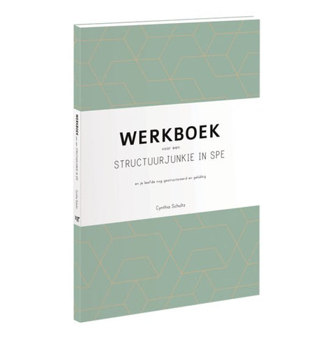 Boek-Werkboek voor een structuurjunkie in spe-tweedehands