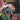 Boek-World of warcraft 03. openbaring-tweedehands