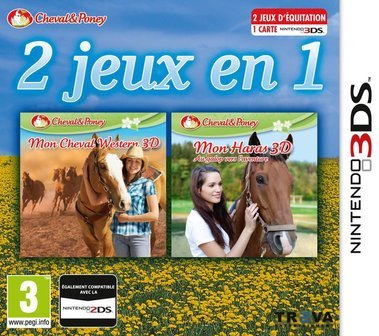 DS-2 in 1: My Riding Stables + My Western Horse Tweedehands