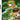 DS-Ben 10: Protector of Earth Tweedehands