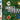DS-Club House Games Tweedehands