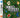 DS-Club House Games Tweedehands