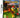 DS-Crazy Chicken Carnival Tweedehands