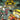 Gamecube-Codename: Kids Next Door - Operation: V.I.D.E.O.G.A.M.E. Tweedehands