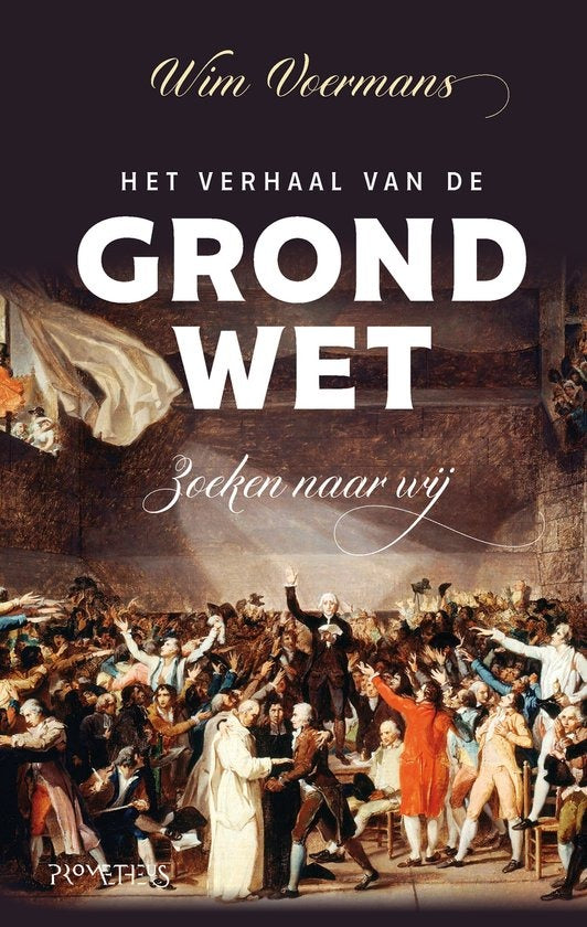 Het verhaal van de Grondwet, Zoeken naar wij, Wim Voermans, omslag met een geschilderde menigte, tweedehands