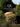 Boek-QL Hotels & Restaurants (Charming by Nature)-tweedehands