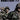 De Waffen SS - John Keegan (Standaard Tweede Wereldoorlog in Woord en Beeld)