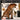 Philips CD-i / CDi-Eyewitness Cat Tweedehands