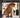 Philips CD-i / CDi-Eyewitness Cat Tweedehands