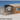 Playmobil-Animal Shelter - 7030 (Nieuw)