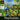 Playstation 1-A Bug's Life Activity Centre Tweedehands