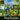 Playstation 1-A Bug's Life Activity Centre Tweedehands