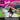 Playstation 1-Barbie Race & Ride Tweedehands