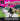 Playstation 1-Barbie Race & Ride Tweedehands