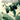 Playstation 2-Ace Combat: Squadron Leader Tweedehands