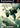 Playstation 2-Ace Combat: Squadron Leader Tweedehands