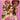 Playstation 2-Action Girlz Racing Tweedehands