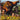 Playstation 2-Cabela's Dangerous Hunts Tweedehands