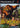 Playstation 2-Cabela's Dangerous Hunts Tweedehands