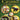 Playstation 2-Casino Challenge Tweedehands