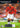 Playstation 2-David Beckham Soccer Tweedehands