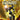 Playstation 2-Ex Zeus Tweedehands