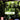 Playstation 3-Aliens vs. Predator Tweedehands