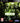 Playstation 3-Aliens vs. Predator Tweedehands