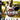 Playstation 3-Ashes Cricket 2009 Tweedehands