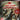 Playstation 3-Dead Island - Game Of The Year Edition Tweedehands