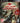 Playstation 3-Dead Island - Game Of The Year Edition Tweedehands