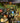 Playstation 3-Dragon's Crown Tweedehands