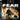 Playstation 3-F.E.A.R. Tweedehands