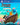 PlayStation 4-Adventure Time: Pirates of the Enchiridion Tweedehands