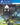 Playstation 4-Apex Construct Tweedehands