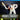 PlayStation 4-Ashes Cricket Tweedehands