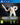 PlayStation 4-Ashes Cricket Tweedehands