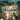 Playstation 4-Bladestorm: Nightmare Tweedehands