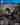 PlayStation 4-Chivalry: Medieval Warfare Tweedehands