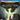 PlayStation 4-Dragon Age: Inquisition - Game of the Year Edition Tweedehands