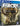 PlayStation 4-Far Cry Primal: Deluxe Edition Tweedehands