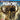PlayStation 4-Far Cry: Primal - Special Edition Tweedehands